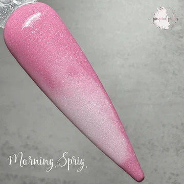 Morning Spring